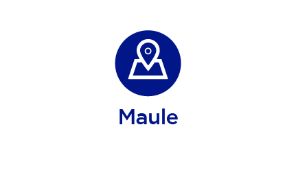 cge-maule